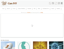 Tablet Screenshot of careivfdhaka.com